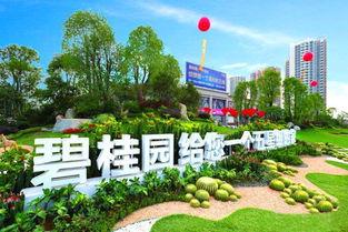 砀山碧桂园爆料最新消息,揭秘项目进展与未来规划